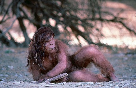 Peter Elliott - Az utolsó majomember - Filmfotók