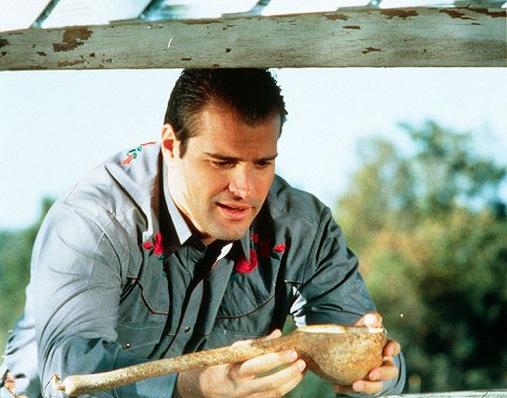 Peter DeLuise - Southern Heart - Film