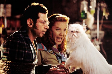 Jeff Goldblum, Elizabeth Perkins - Wie Hund und Katz - Filmfotos