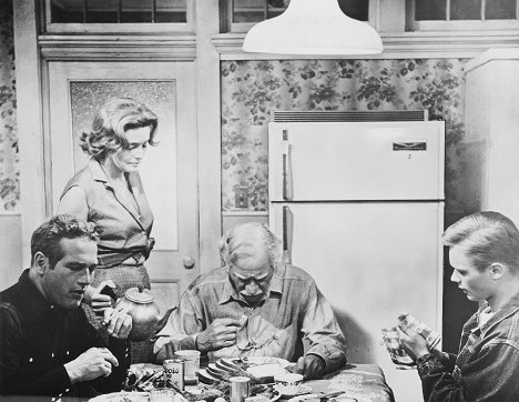 Paul Newman, Patricia Neal, Melvyn Douglas, Brandon De Wilde - Der Wildeste unter Tausend - Filmfotos