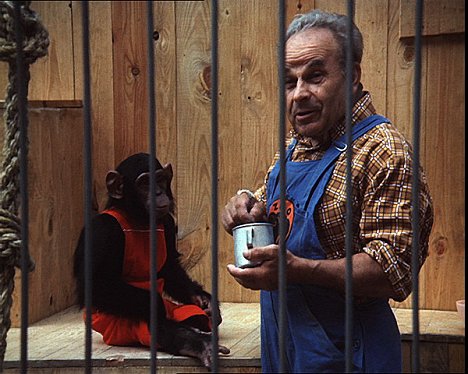 simpanssi Tereza, Adam Matejka - Terezu bych kvůli žádné holce neopustil - Kuvat elokuvasta