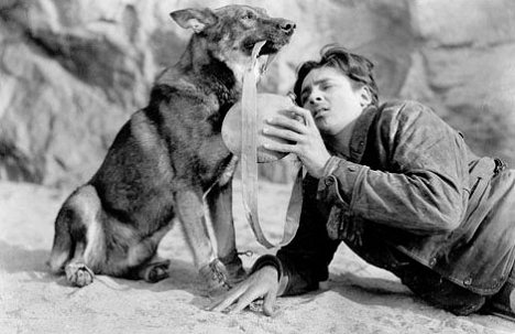 Rin Tin Tin, Charles Farrell - Clash of the Wolves - Filmfotos