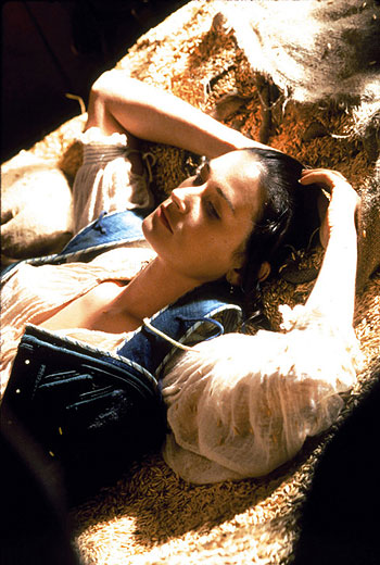Demi Moore - The Scarlet Letter - Photos