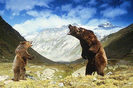 o urso Youk, o urso Bart - O Urso - De filmes