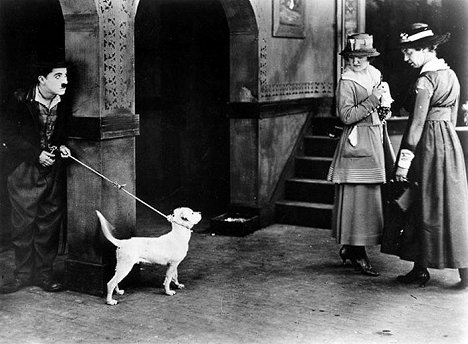 Charlie Chaplin - A Dog's Life - Film