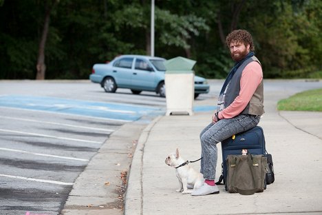 Zach Galifianakis