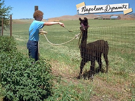 Jon Heder - Nevetséges Napóleon - Vitrinfotók