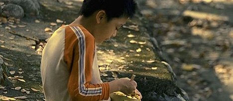 Hsiao-Hai Bi - Di si zhang hua - De la película