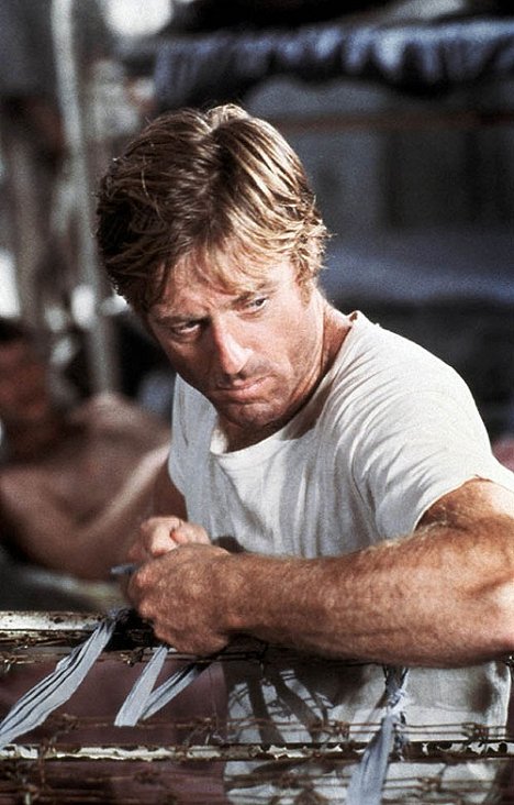 Robert Redford