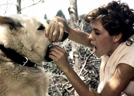 Kristy McNichol - O Cão Branco - De filmes