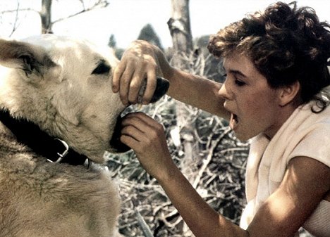 Kristy McNichol - Perro blanco - De la película