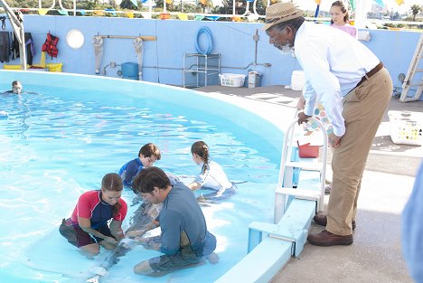 Austin Highsmith, Nathan Gamble, Harry Connick, Jr., Morgan Freeman - Delfines kaland - Filmfotók