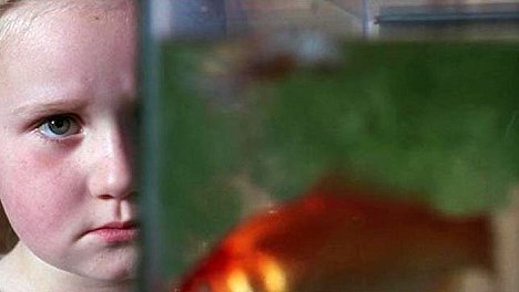 Phoebe Ferguson - La habitación silenciosa - De la película