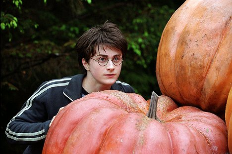 Daniel Radcliffe - Harry Potter i więzień Azkabanu - Z filmu