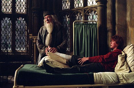 Michael Gambon, Rupert Grint - Harry Potter and the Prisoner of Azkaban - Photos