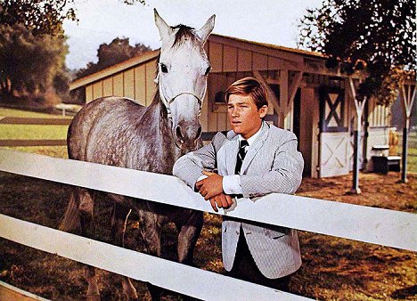 Kurt Russell - The Horse in the Gray Flannel Suit - Z filmu