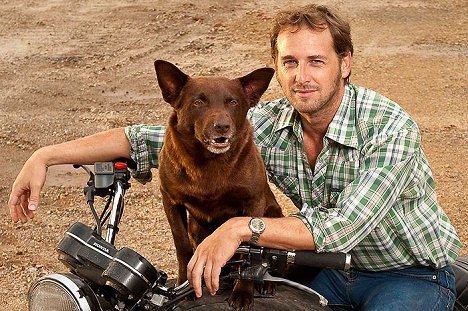 Koko, Josh Lucas - Red Dog - Werbefoto