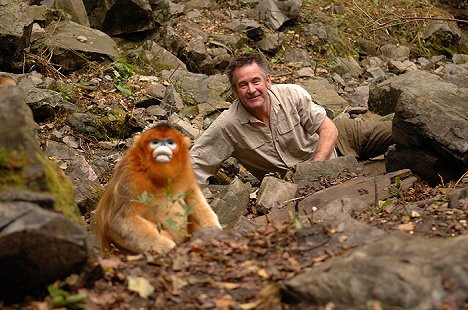 Nigel Marven - Pandí dobrodružství s Nigelem Marvenem - Z filmu