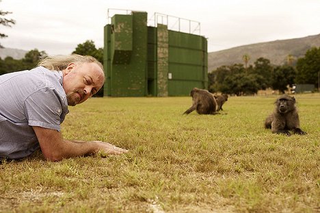 Bill Bailey - Baboons with Bill Bailey - Photos