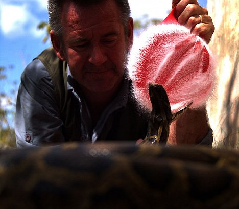 Nigel Marven - Nigel Marven a invaze obřích hadů - Z filmu
