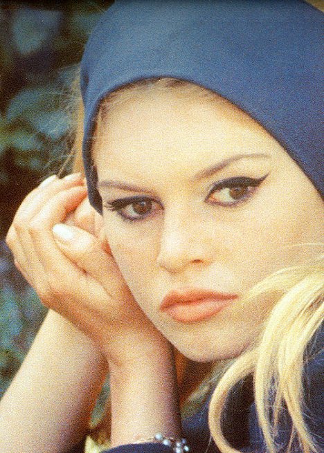 Brigitte Bardot - Brigitte Bardot: The Icon of France - Van film