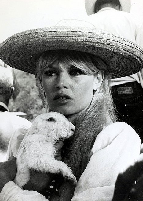 Brigitte Bardot - Brigitte Bardot: The Icon of France - Do filme