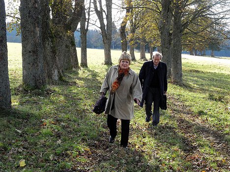 Jiřina Bohdalová, Radoslav Brzobohatý - Oldies But Goldies - Photos