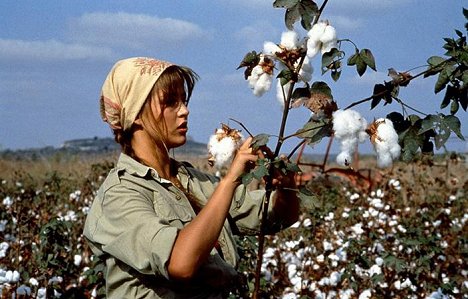 Sophie Marceau - Pour Sacha - Photos