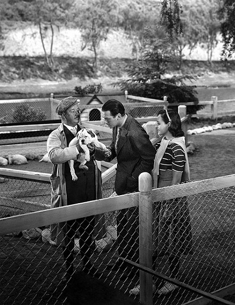 Billy Bevan, Douglas Fairbanks Jr., Paulette Goddard - Los alegres vividores - De la película