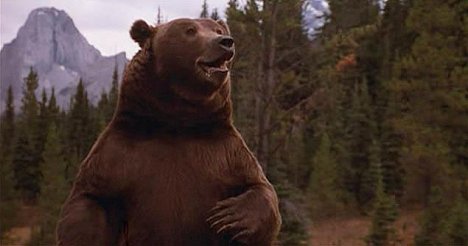 o urso Bart - Grizzly Falls - De filmes