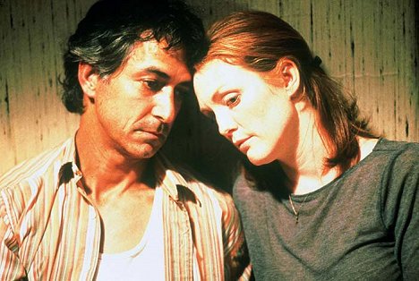 David Strathairn, Julianne Moore - A Map of the World - Photos
