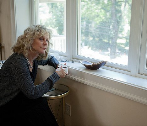 Blythe Danner - Hello, I Must Be Going - Photos