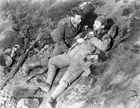 Lew Ayres, Raymond Griffith - All Quiet on the Western Front - Photos
