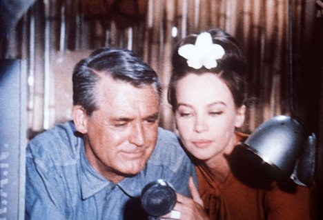 Cary Grant, Leslie Caron - Father Goose - Z filmu
