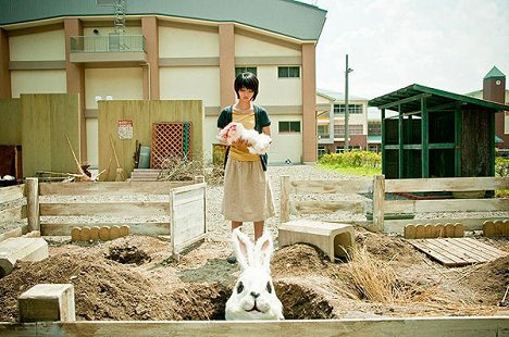 Hikari Mitsushima - Rabbit Horror 3D - Photos