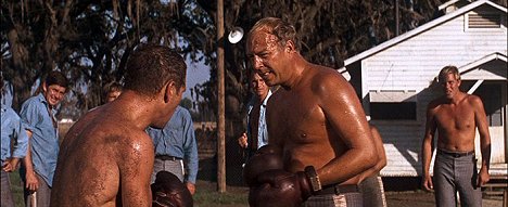 Ralph Waite, George Kennedy