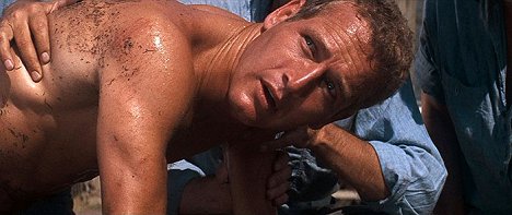 Paul Newman - Cool Hand Luke - Van film