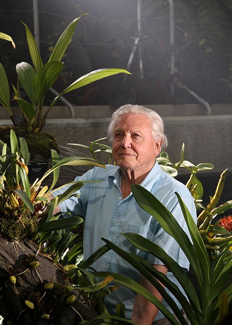 David Attenborough - Kingdom of Plants 3D - Filmfotók