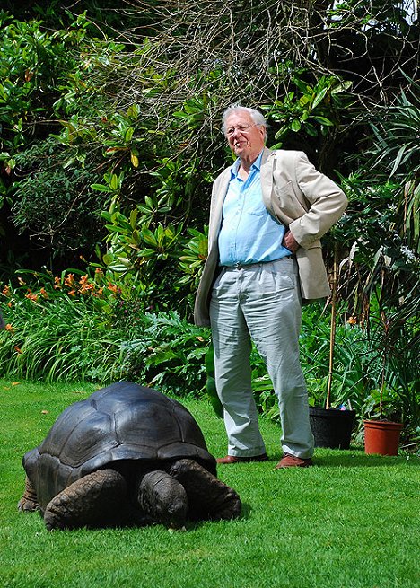 David Attenborough - Kingdom of Plants 3D - Z filmu