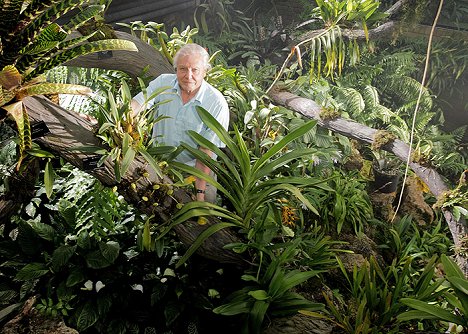 David Attenborough - Im Reich der Pflanzen - Filmfotos