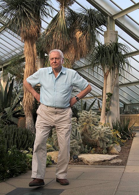 David Attenborough - Království rostlin - Z filmu