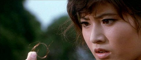 Etsuko Shihomi - Siostra ulicznego wojownika - Z filmu