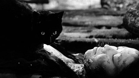 Taeko Shimura - El gato negro - De la película