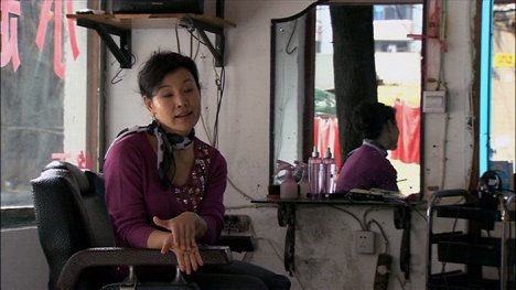 Joan Chen - 24 City - Van film