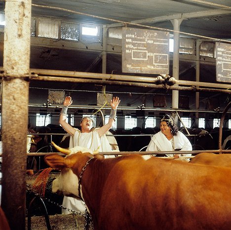 Miroslav Zounar, Helena Růžičková - Sun, Hay and a Few Slaps - Photos