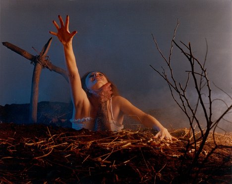 Bridget Hoffman - Tanz der Teufel - Werbefoto