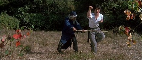 Simon Siu-Tin Yuen, Jackie Chan - L'Ombre du serpent - Film
