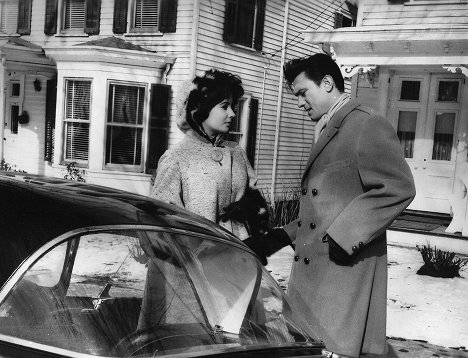 Elizabeth Taylor, Laurence Harvey - Telefon Butterfield 8 - Filmfotos