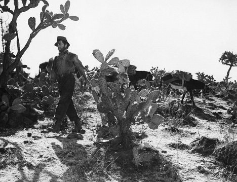 Humphrey Bogart - O Tesouro da Sierra Madre - Do filme