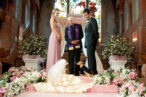 Erin Cahill, Marcus Coloma - Beverly Hills Chihuahua 2 - Photos